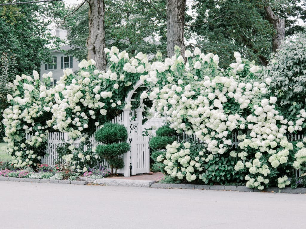 Outdoor ceremony setup with pergola and white chairs