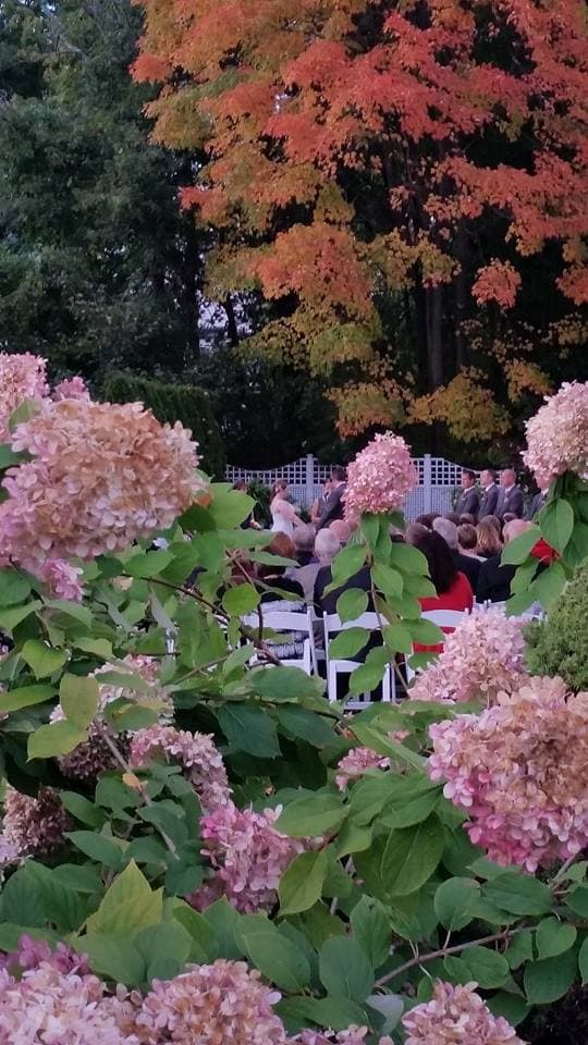 Fall ceremony with hydrangeas